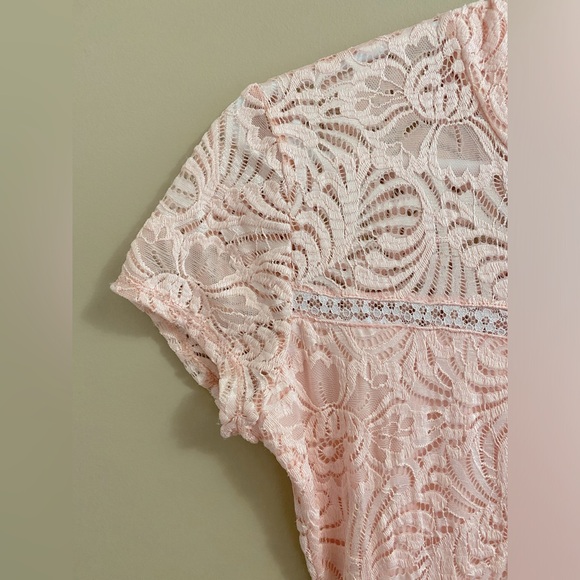 Pink Lace & Chiffon Tailored Bridesmaid Dress , Graduation Dress , Prom Dress - Picture 5 of 11